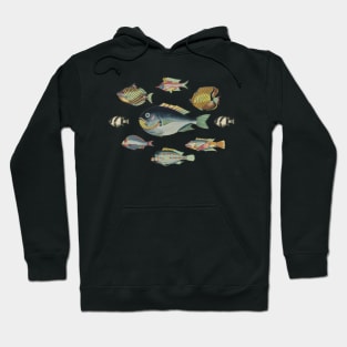 Fish in Pink - Vintage Reef Fish Print - Marine Biology Hoodie